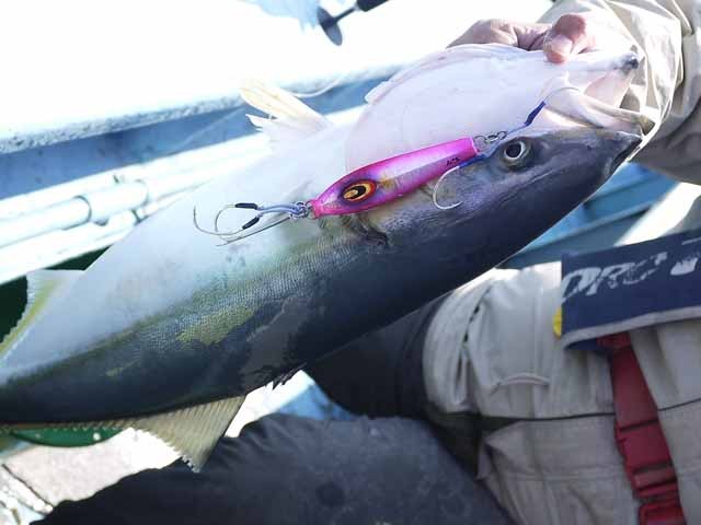 プロショップオオツカ ソルトウォーター部門 ネット通信販売 ブログ写真 2013/04/24