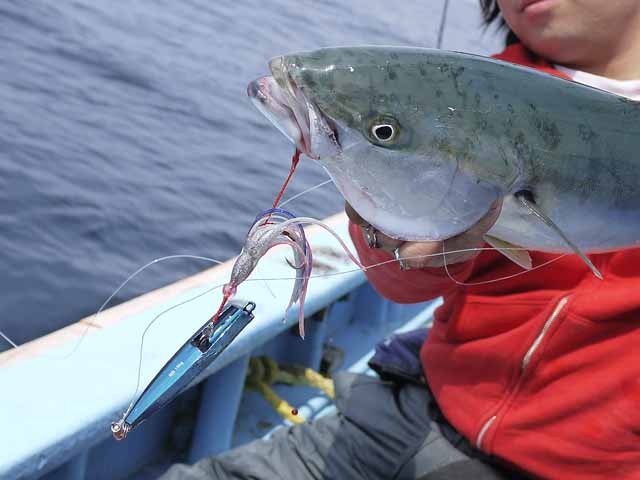 プロショップオオツカ ソルトウォーター部門 ネット通信販売 ブログ写真 2013/04/24