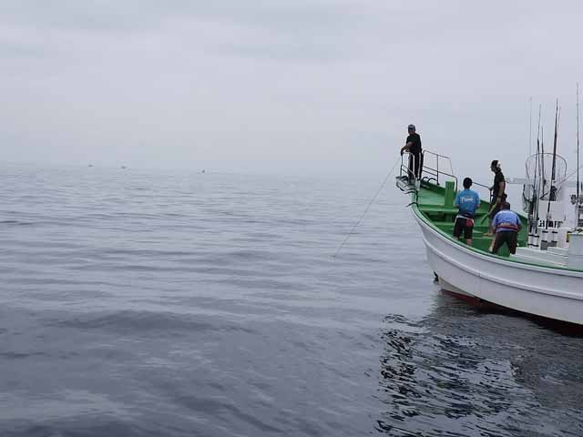 プロショップオオツカ ソルトウォーター部門 ネット通信販売 ブログ写真 2013/07/17