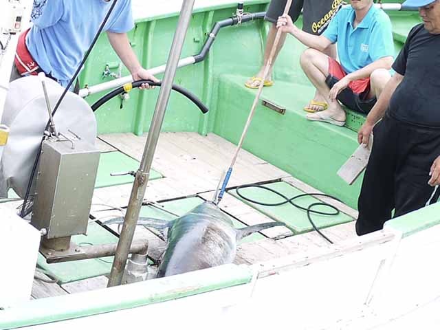 プロショップオオツカ ソルトウォーター部門 ネット通信販売 ブログ写真 2013/07/17