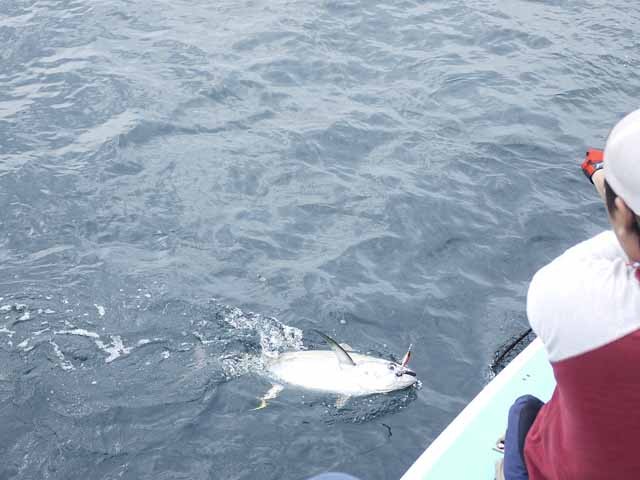 プロショップオオツカ ソルトウォーター部門 ネット通信販売 ブログ写真 2013/07/17