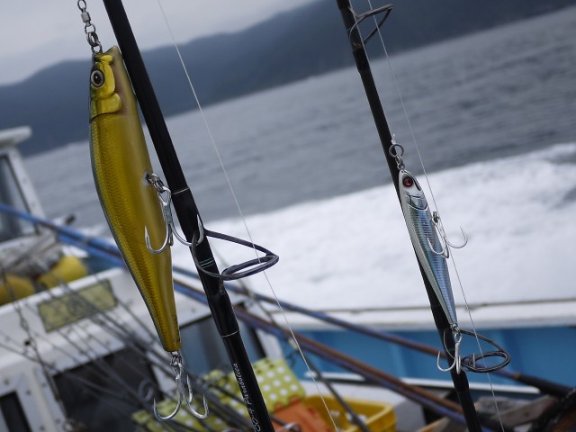 プロショップオオツカ ソルトウォーター部門 ネット通信販売 ブログ写真 2013/07/22