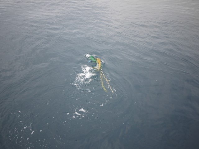 プロショップオオツカ ソルトウォーター部門 ネット通信販売 ブログ写真 2013/07/22