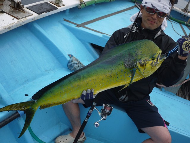 プロショップオオツカ ソルトウォーター部門 ネット通信販売 ブログ写真 2013/07/22