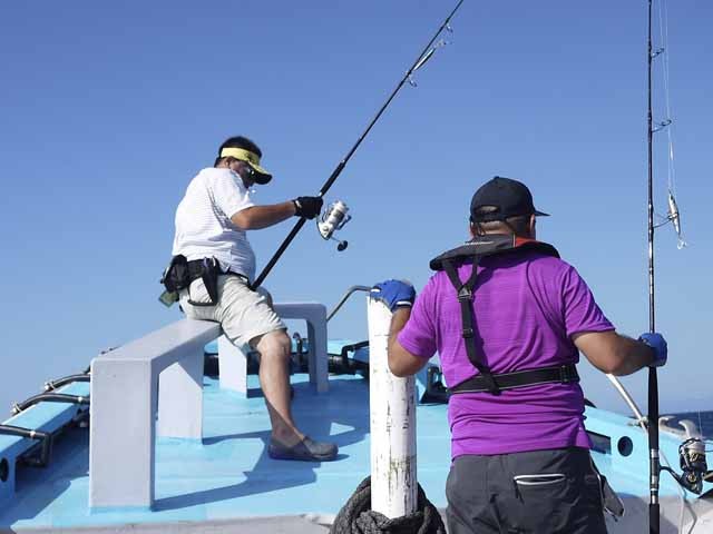 プロショップオオツカ ソルトウォーター部門 ネット通信販売 ブログ写真 2013/08/21