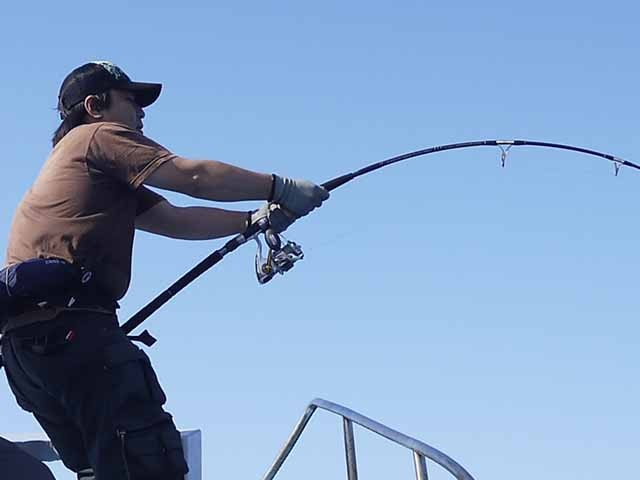 プロショップオオツカ ソルトウォーター部門 ネット通信販売 ブログ写真 2013/08/21