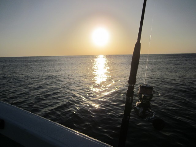 プロショップオオツカ ソルトウォーター部門 ネット通信販売 ブログ写真 2013/09/22