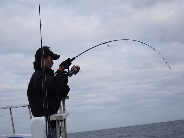 プロショップオオツカ ソルトウォーター部門 ネット通信販売 ブログ写真 2013/09/29