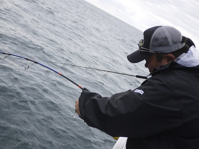 プロショップオオツカ ソルトウォーター部門 ネット通信販売 ブログ写真 2013/09/29