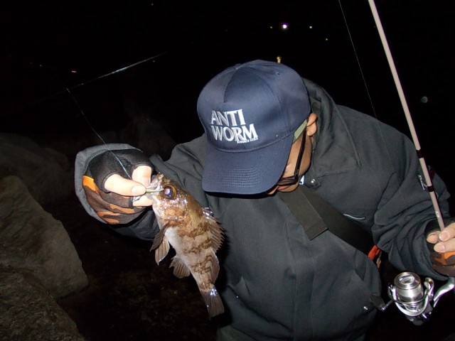 プロショップオオツカ ソルトウォーター部門 ネット通信販売 ブログ写真 2013/12/18