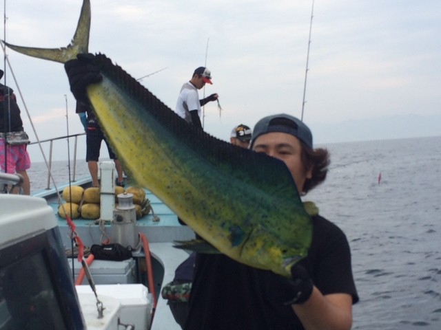 プロショップオオツカ ソルトウォーター部門 ネット通信販売 ブログ写真 2014/07/16