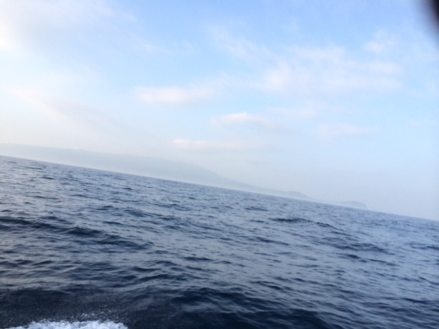 プロショップオオツカ ソルトウォーター部門 ネット通信販売 ブログ写真 2014/07/18