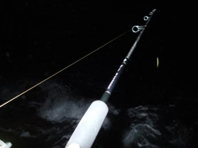 プロショップオオツカ ソルトウォーター部門 ネット通信販売 ブログ写真 2014/11/17