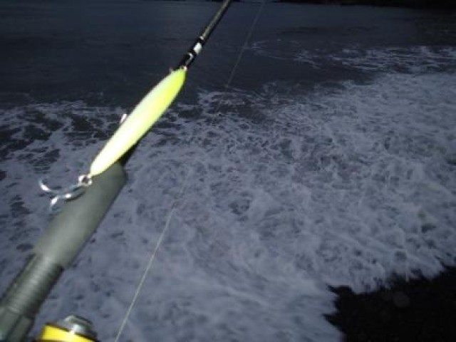 プロショップオオツカ ソルトウォーター部門 ネット通信販売 ブログ写真 2014/11/17