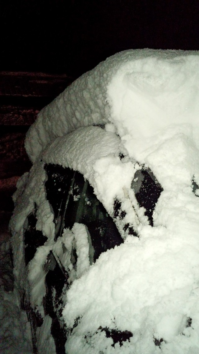 プロショップオオツカ ソルトウォーター部門 ネット通信販売 ブログ写真 2014/12/18