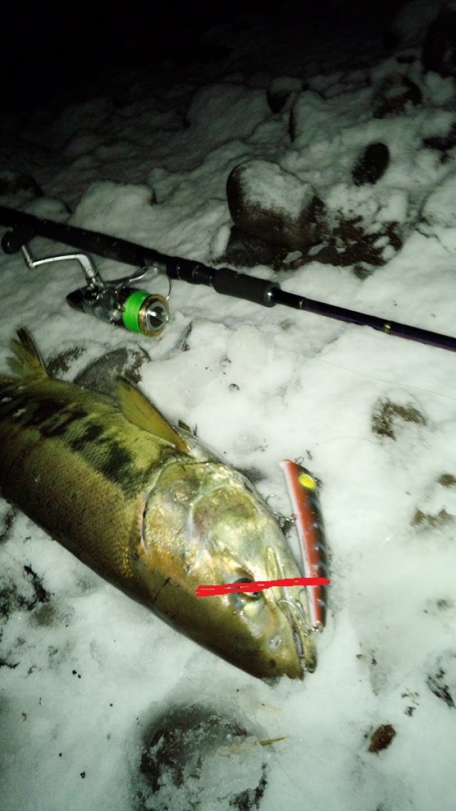 プロショップオオツカ ソルトウォーター部門 ネット通信販売 ブログ写真 2014/12/18