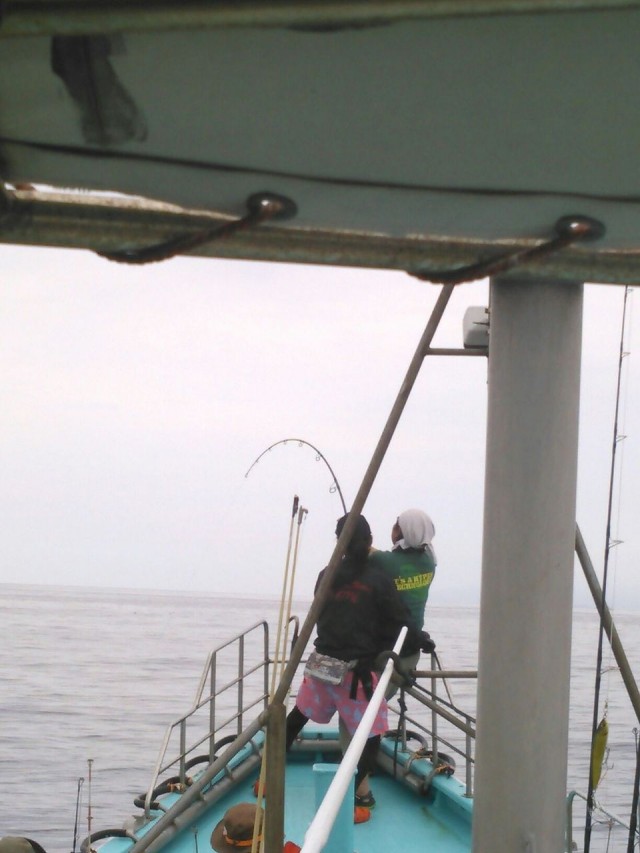 プロショップオオツカ ソルトウォーター部門 ネット通信販売 ブログ写真 2015/07/01