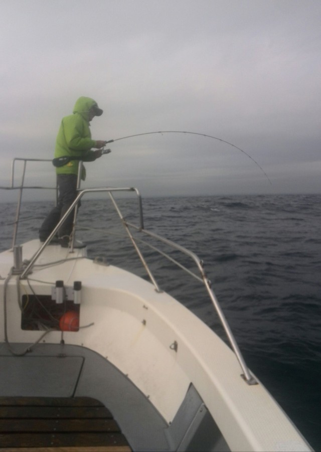 プロショップオオツカ ソルトウォーター部門 ネット通信販売 ブログ写真 2015/12/23