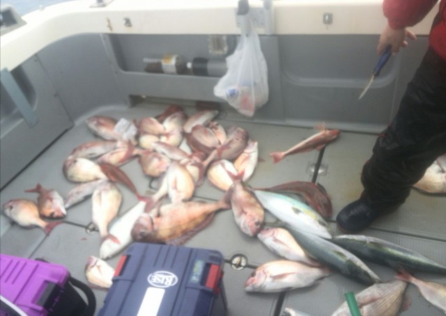 プロショップオオツカ ソルトウォーター部門 ネット通信販売 ブログ写真 2015/12/23