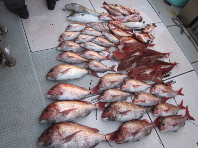 プロショップオオツカ ソルトウォーター部門 ネット通信販売 ブログ写真 2016/01/14