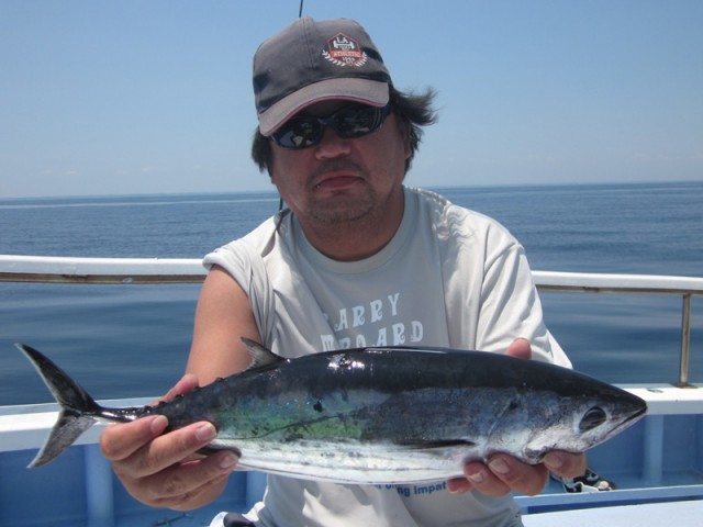 プロショップオオツカ ソルトウォーター部門 ネット通信販売 ブログ写真 2016/07/14