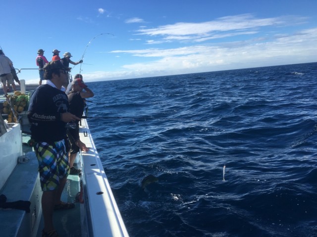 プロショップオオツカ ソルトウォーター部門 ネット通信販売 ブログ写真 2016/08/21