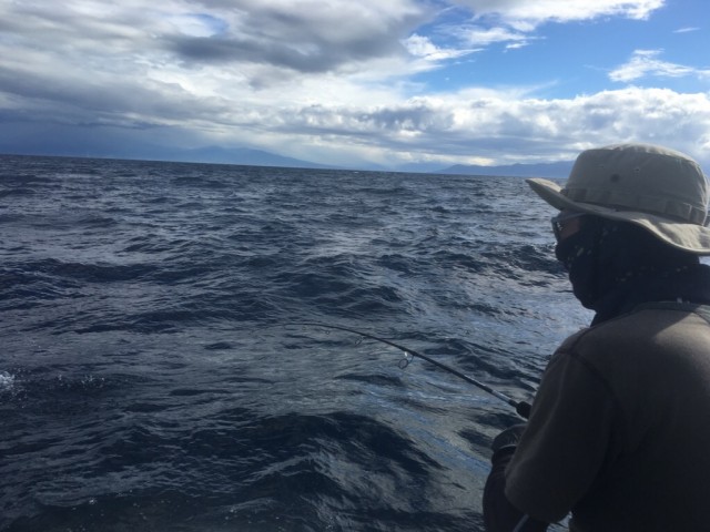 プロショップオオツカ ソルトウォーター部門 ネット通信販売 ブログ写真 2016/08/21