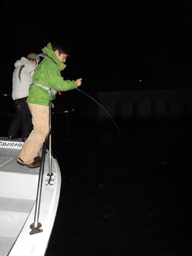 プロショップオオツカ ソルトウォーター部門 ネット通信販売 ブログ写真 2018/03/15