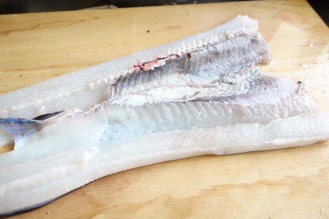 プロショップオオツカ ソルトウォーター部門 ネット通信販売 ブログ写真 2018/03/15