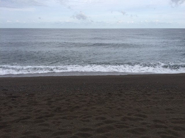 プロショップオオツカ ソルトウォーター部門 ネット通信販売 ブログ写真 2018/09/26