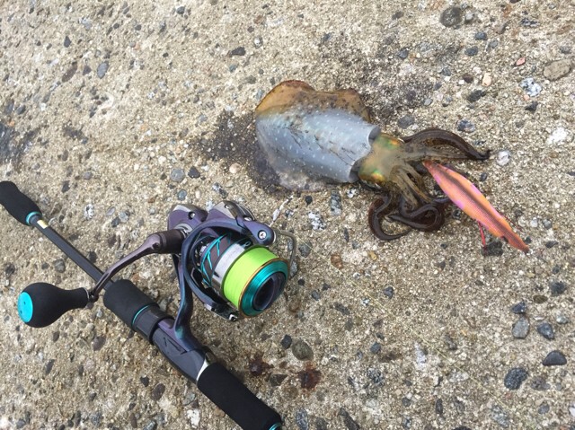 プロショップオオツカ ソルトウォーター部門 ネット通信販売 ブログ写真 2018/10/18