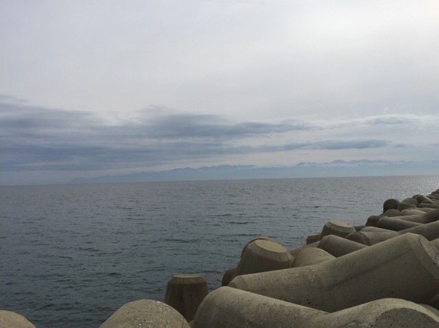 プロショップオオツカ ソルトウォーター部門 ネット通信販売 ブログ写真 2018/10/18