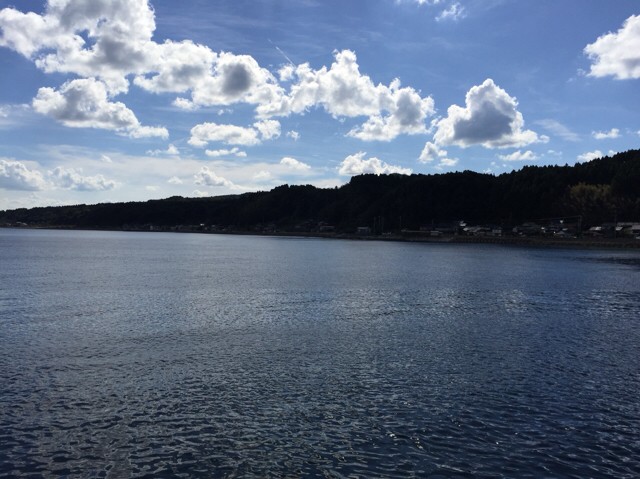 プロショップオオツカ ソルトウォーター部門 ネット通信販売 ブログ写真 2018/10/18