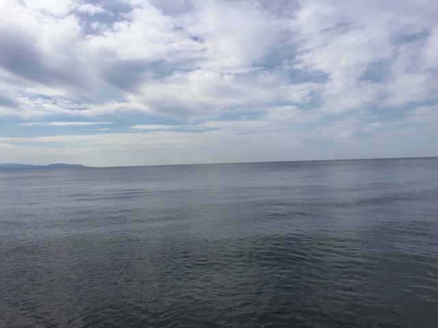 プロショップオオツカ ソルトウォーター部門 ネット通信販売 ブログ写真 2018/10/24