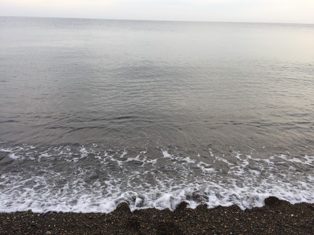 プロショップオオツカ ソルトウォーター部門 ネット通信販売 ブログ写真 2018/10/24