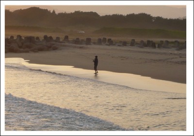 プロショップオオツカ ソルトウォーター部門 ブログ写真 2009/05/22