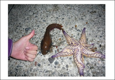 プロショップオオツカ ソルトウォーター部門 ブログ写真 2009/05/22