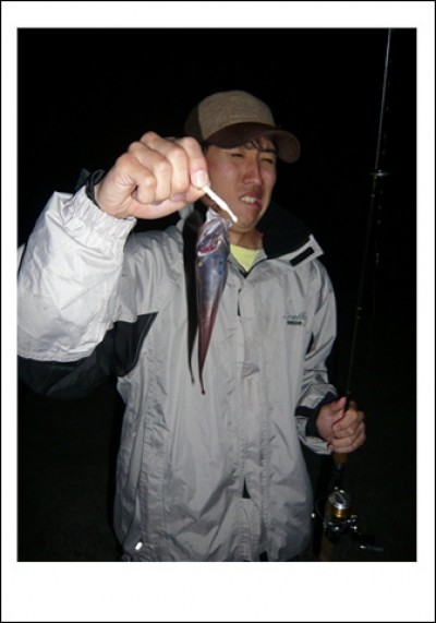 プロショップオオツカ ソルトウォーター部門 ブログ写真 2009/05/22